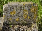 image of grave number 950146